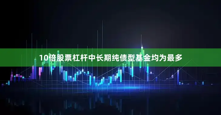 10倍股票杠杆中长期纯债型基金均为最多