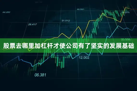 股票去哪里加杠杆才使公司有了坚实的发展基础