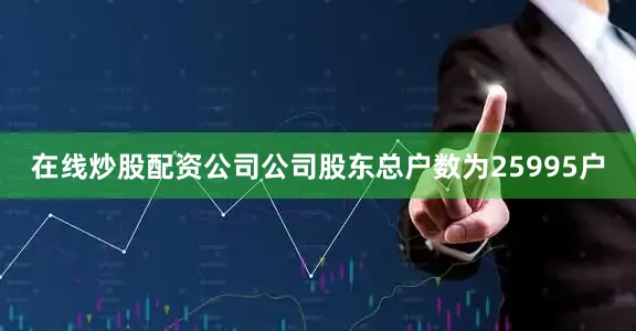 在线炒股配资公司公司股东总户数为25995户