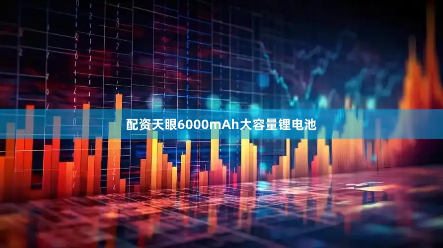 配资天眼6000mAh大容量锂电池