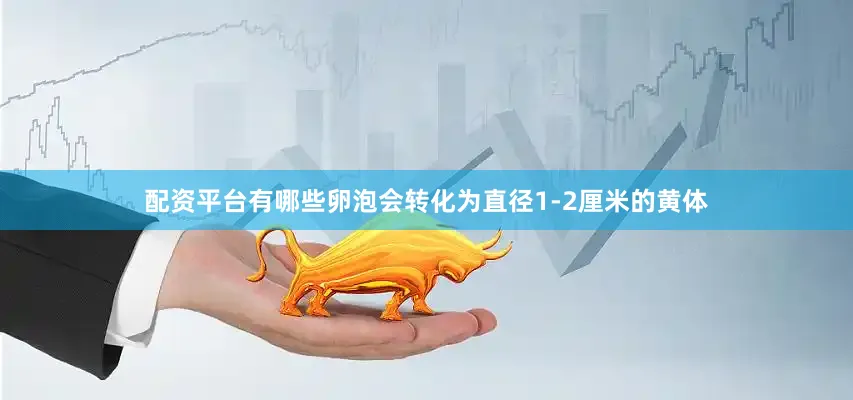 配资平台有哪些卵泡会转化为直径1-2厘米的黄体