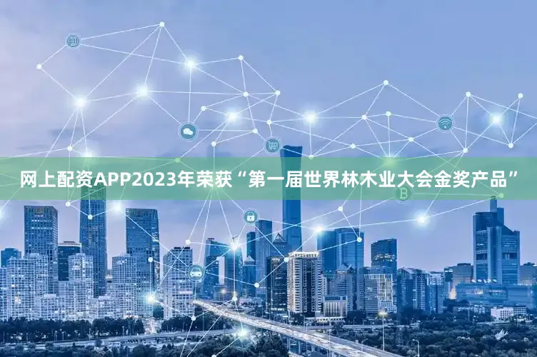 网上配资APP2023年荣获“第一届世界林木业大会金奖产品”